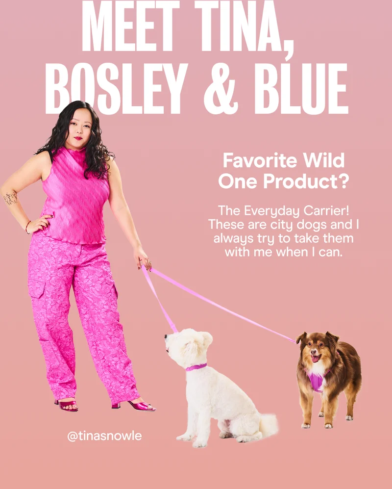 Favorite Wild One Product? The Everyday Carrier! These are city dogs and I always try to take them with me when I can.