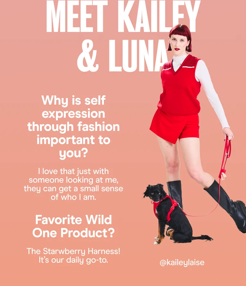 Favorite Wild One Product? The Starwberry Harness! It’s our daily go-to.