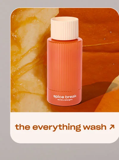 the everything wash →
