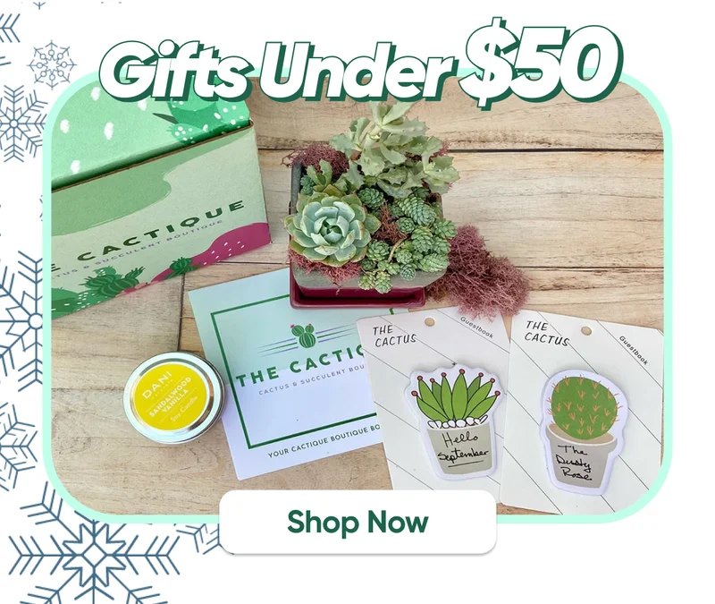Gifts under $50