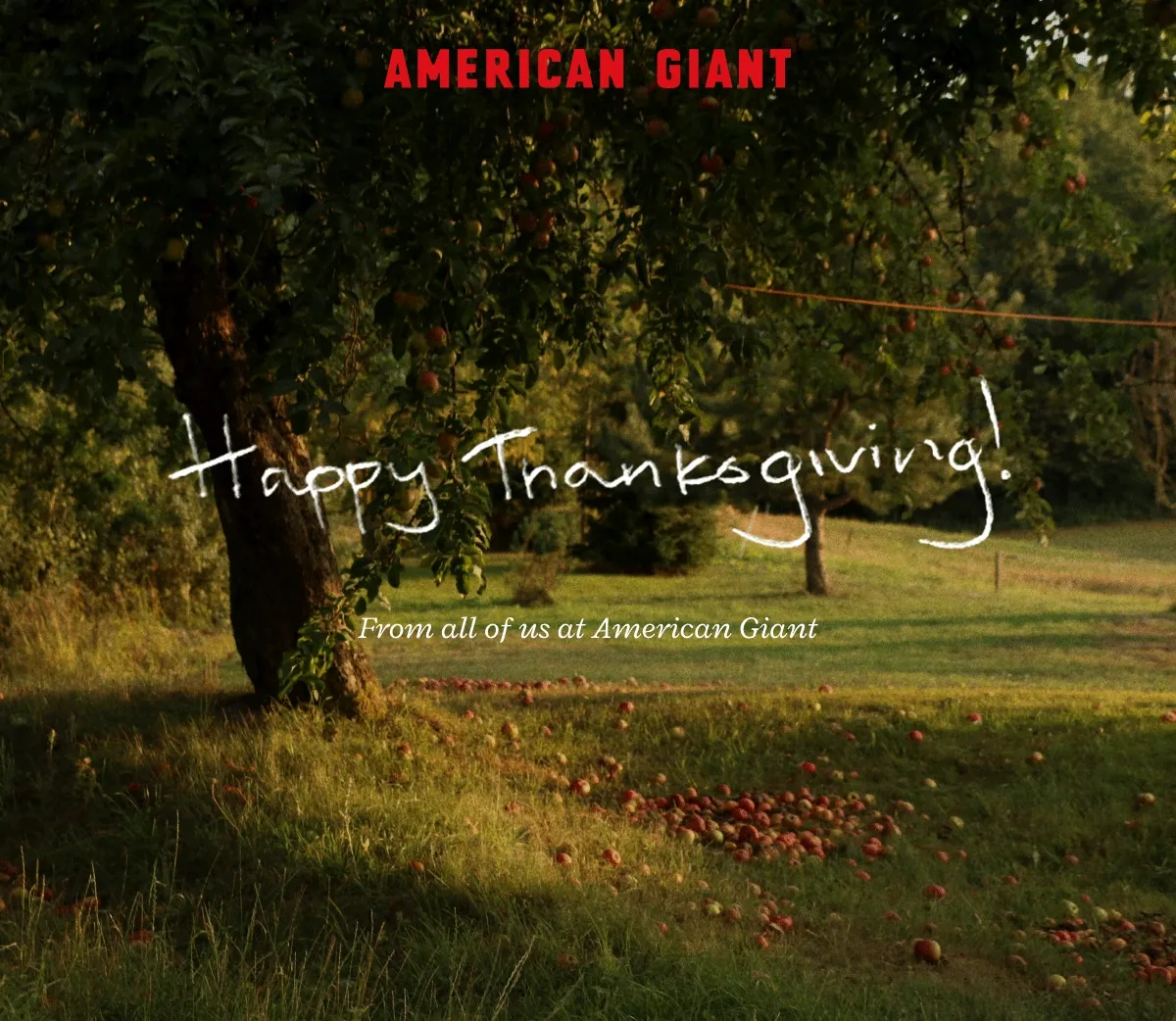 Thankgiving GIF