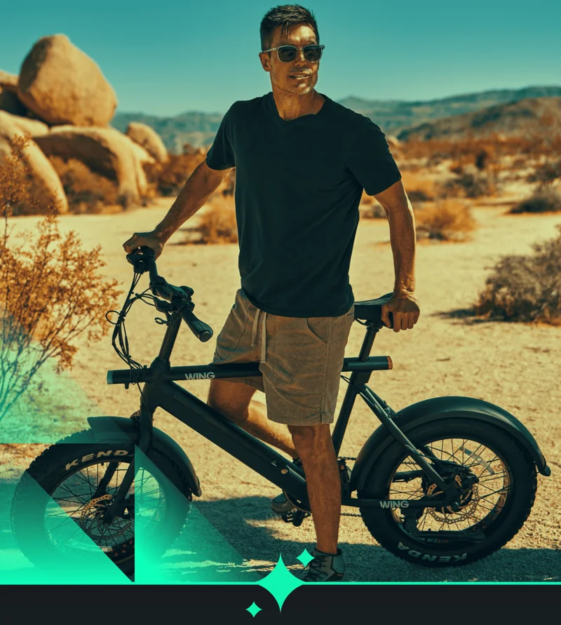 WING BIKES