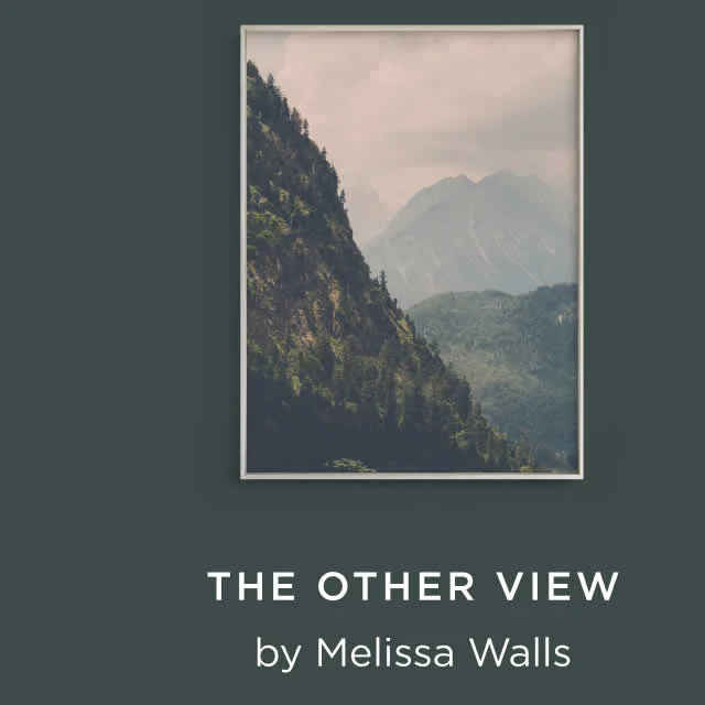 The Other View