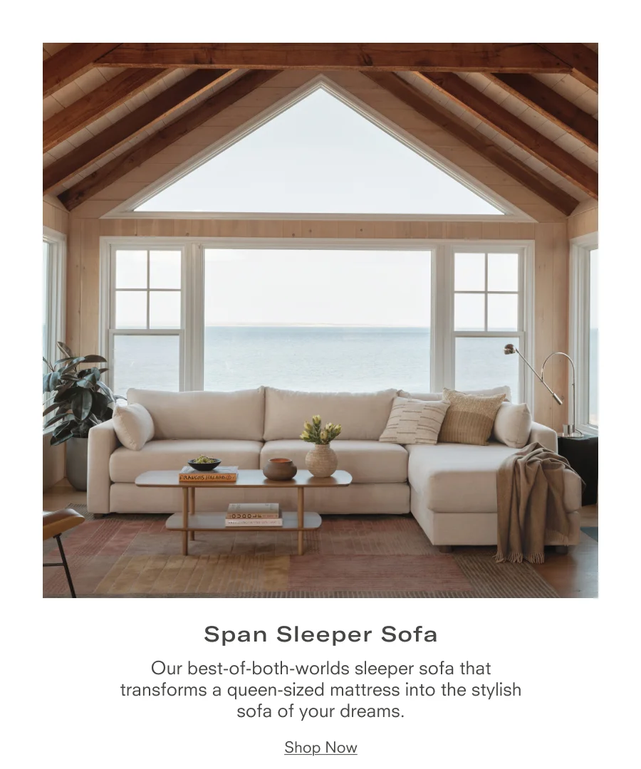 Span Sleeper Sofa