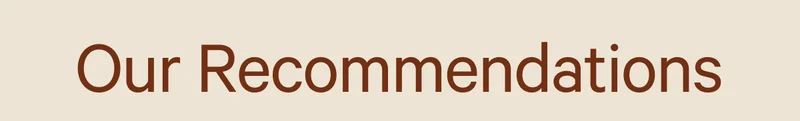Our Recommendations