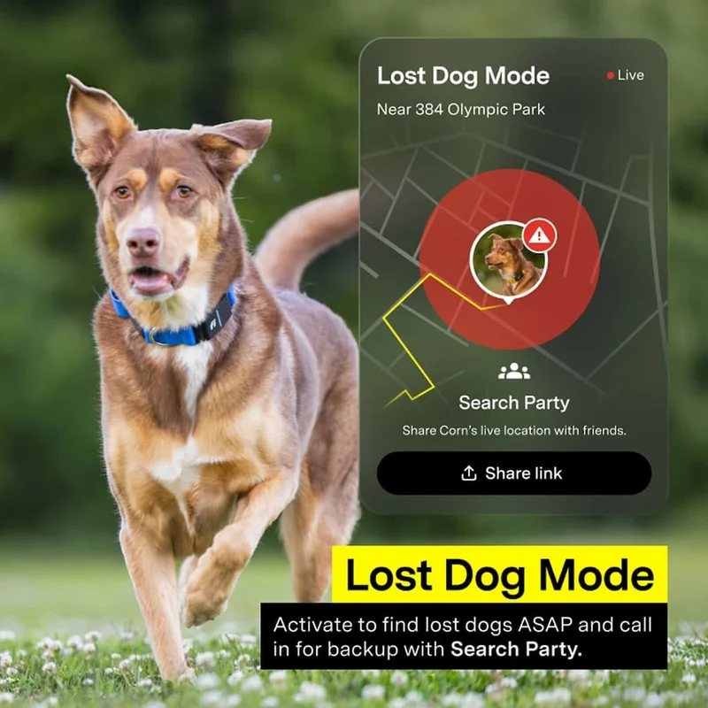 Lost Dog Mode: Activate to find lost dogs ASAP and call in for backup with Search Party.