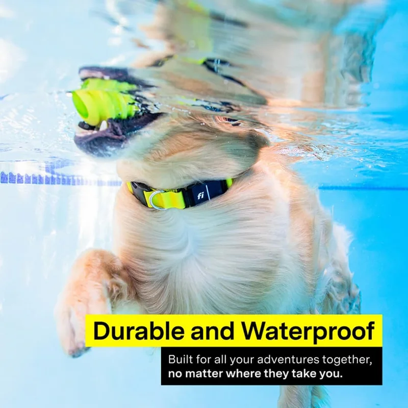 Durable and Waterproof: Built for all your adventures together, no matter where they take you.