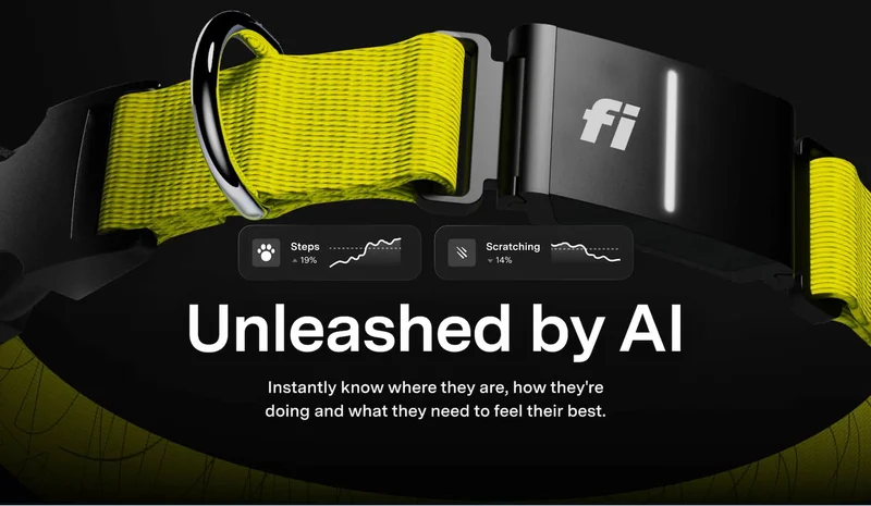 Unleashed by AI: Instantly know where they are, how they're doing and what they need to feel their best.