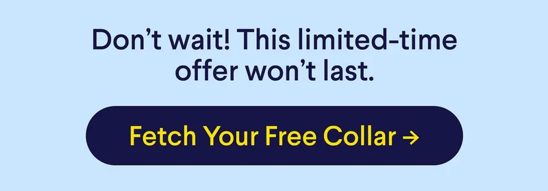 Don’t wait! This limited-time offer won’t last. Fetch Your Free Collar ->
