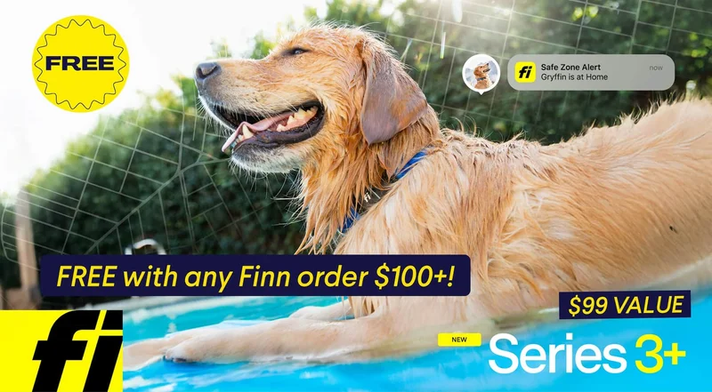 FREE with any Finn order $100+! No code needed.