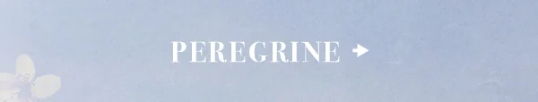 Peregrine