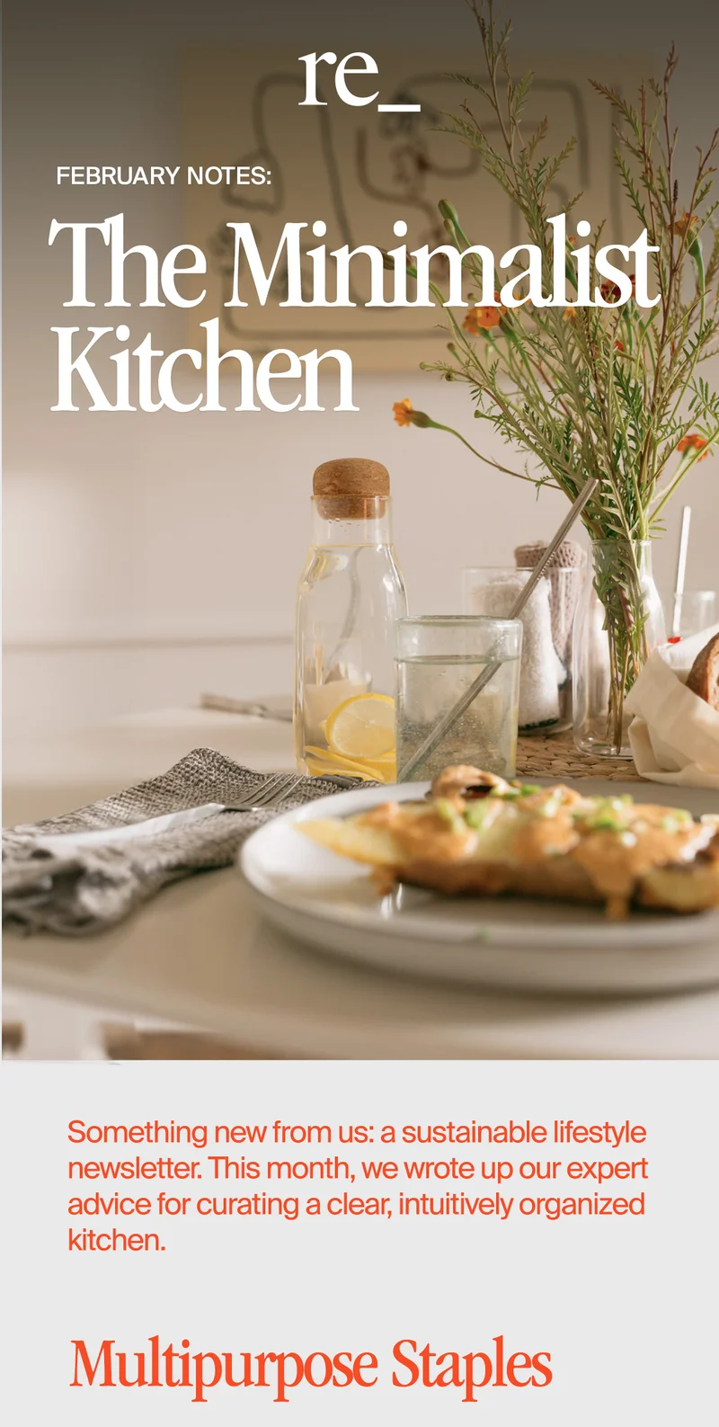 The Minimalist Kitchen