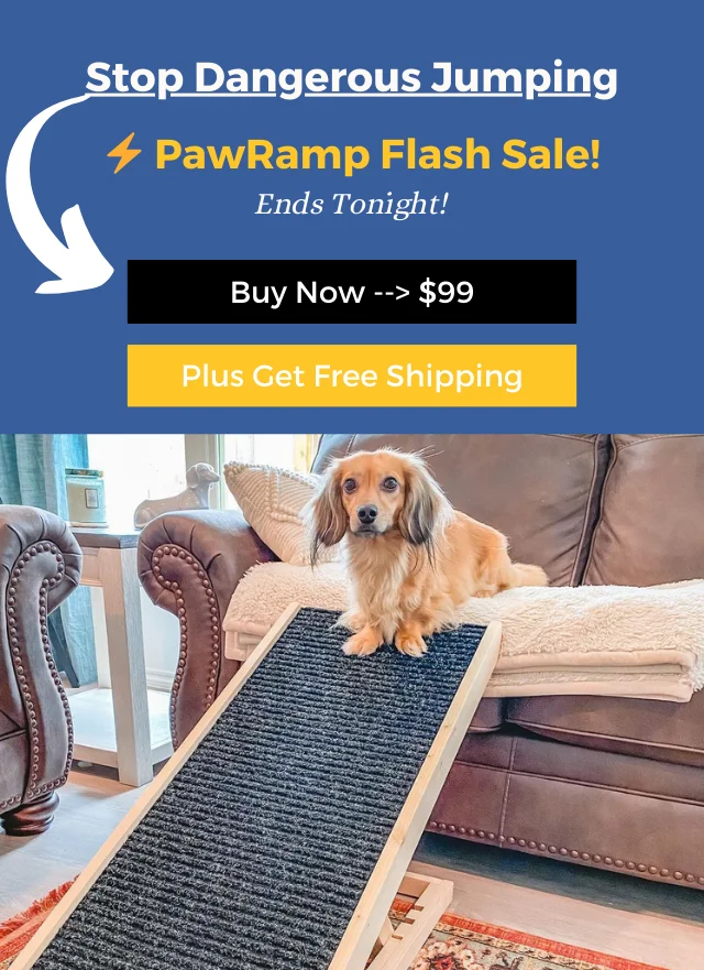 PawRamp