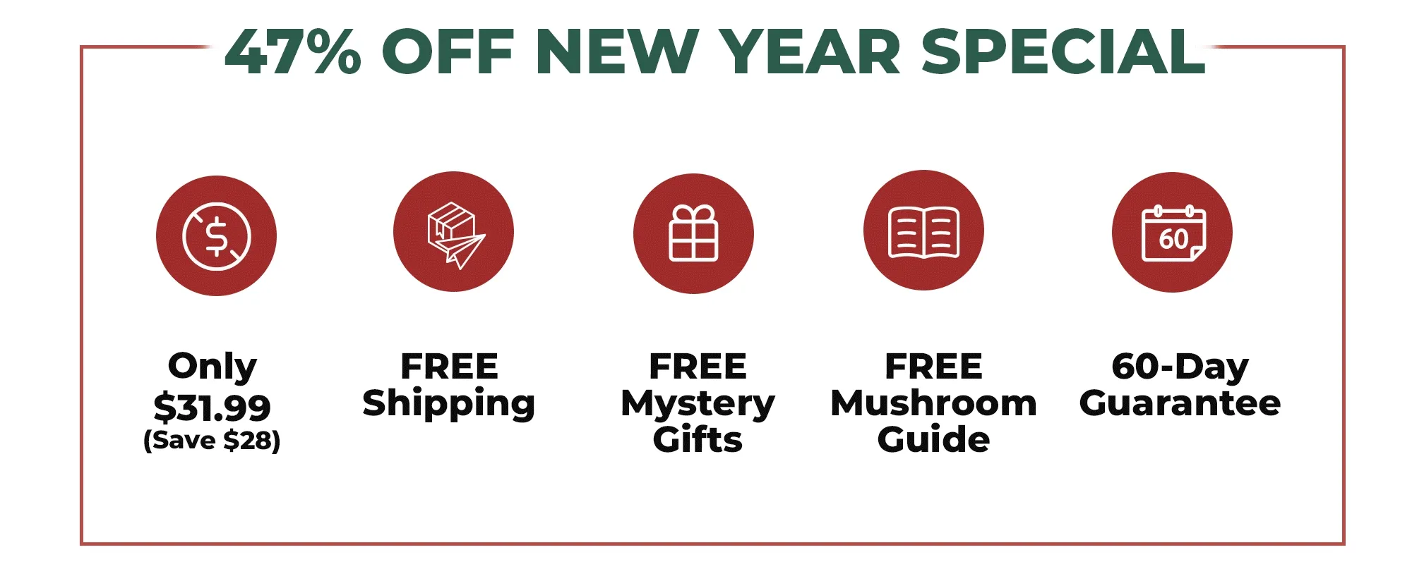 47% OFF NEW YEAR SPECIAL