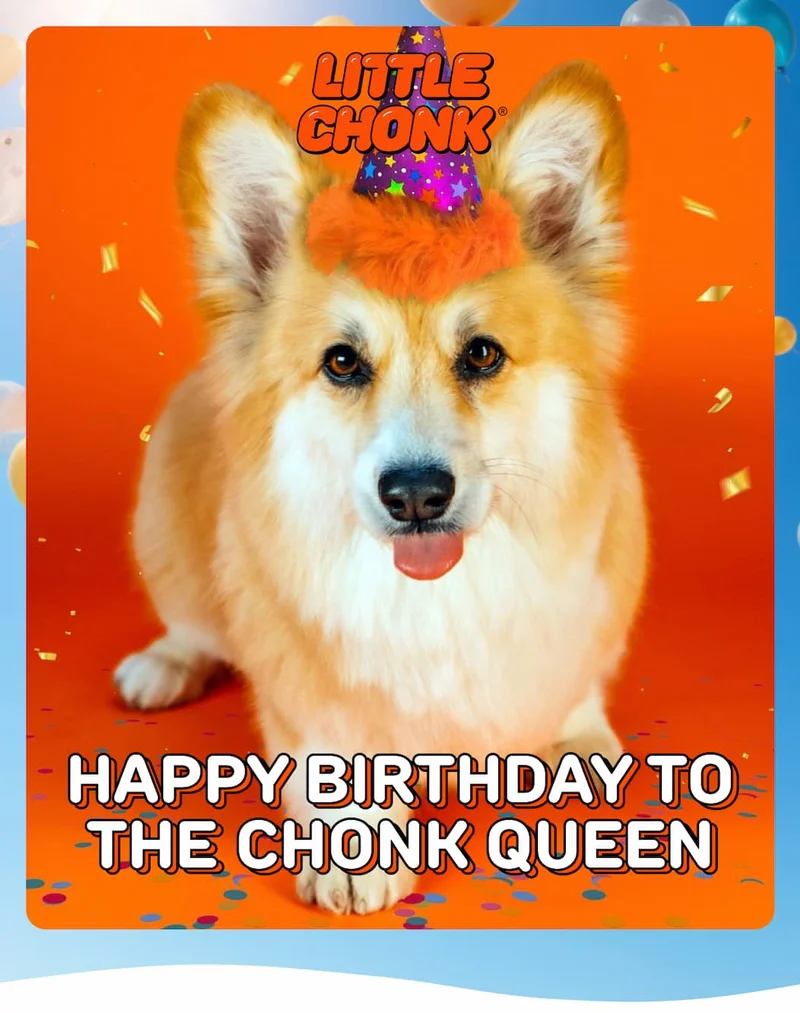 HAPPY BIRTHDAY TO THE CHONK QUEEN HAPPY BIRTHDAY TO THE CHONK QUEEN