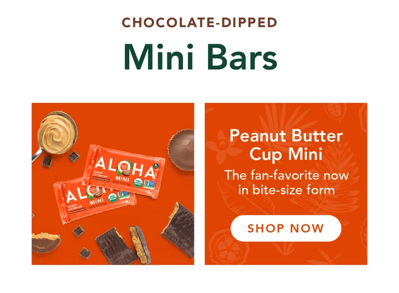Mini Bars - Peanut Butter Cup