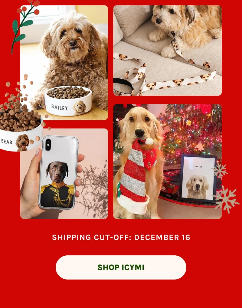 Shop ICYMI