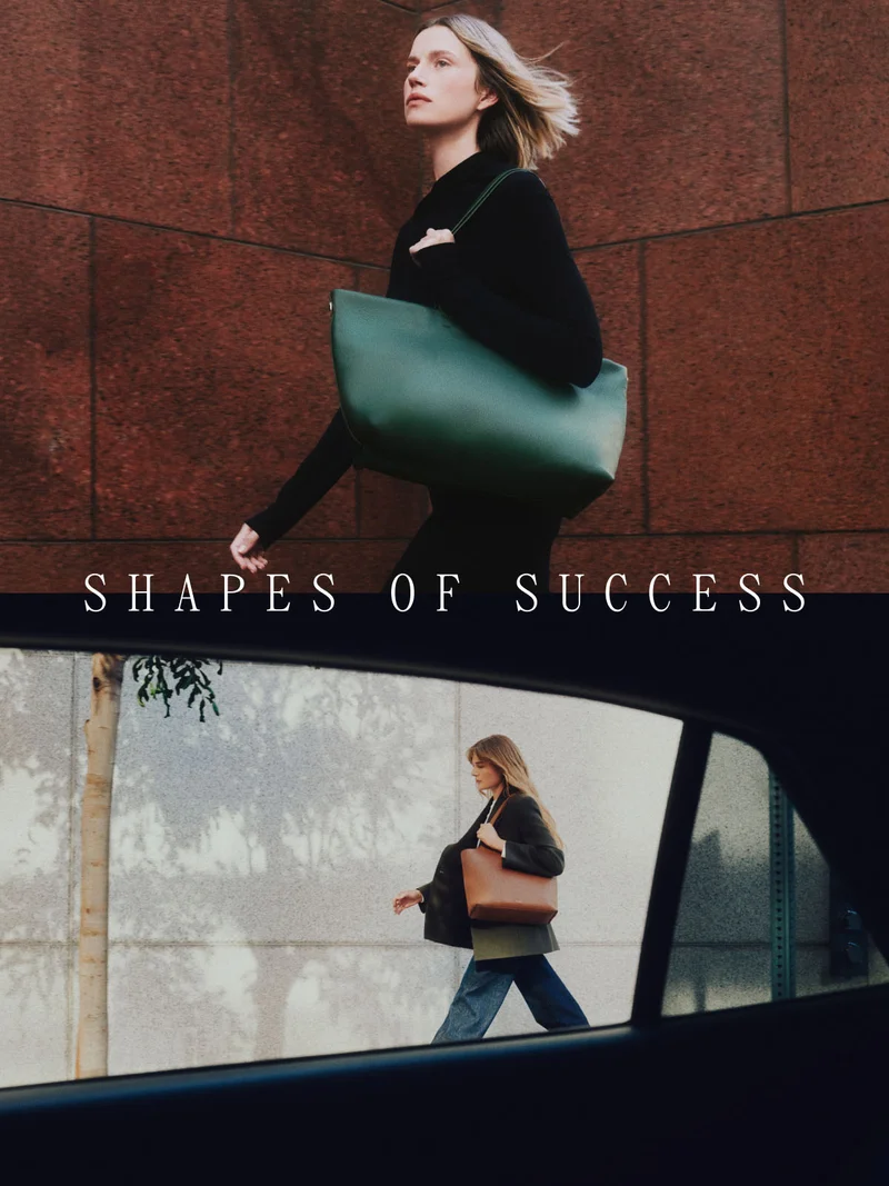 Shapes Of Success