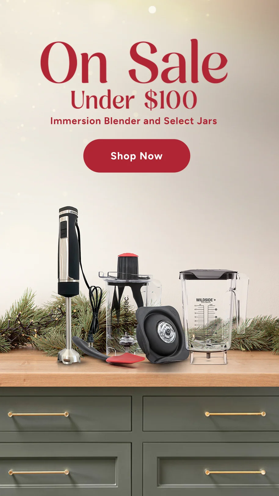 Blendtec - Pro 800