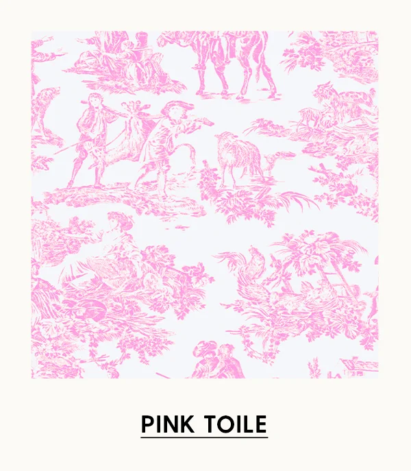 View Pink Toile