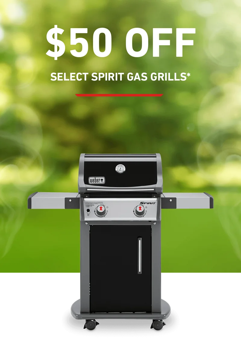 link to discover more about the Spirit Grills