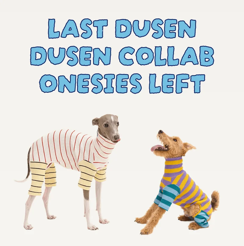 Last Dusen Dusen Collab Onesies Left