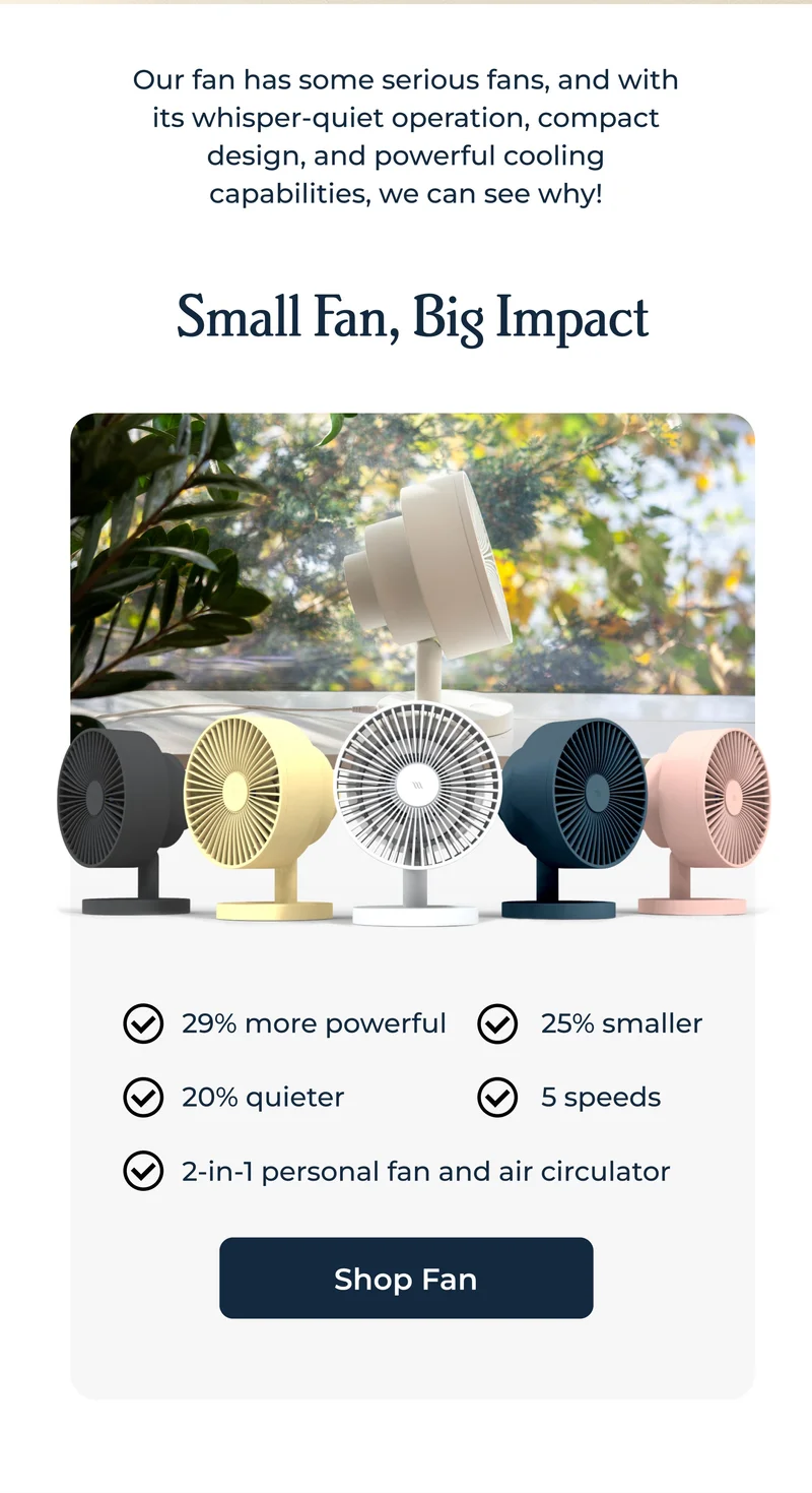 Small Fan, Big Impact