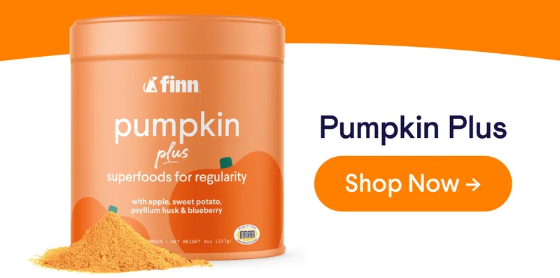 Pumpkin Plus | Shop Now –>