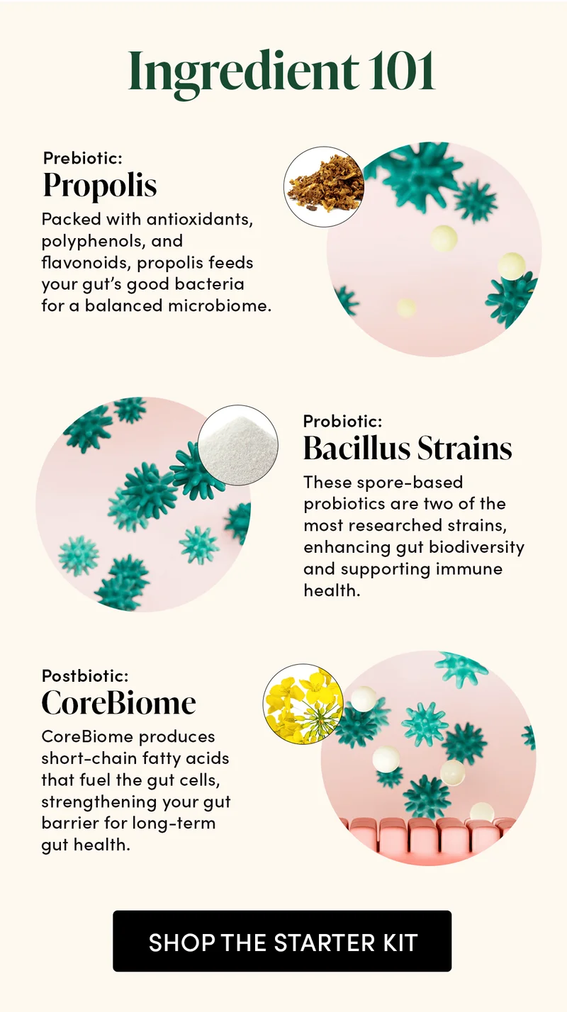 Ingredient 101  Prebiotic: Propolis  Packed with antioxidants, polyphenols, and flavonoids, propolis feeds your gut’s good bacteria for a balanced microbiome. Probiotic: Bacillus Strains  These spore-based probiotics are two of the most researched strains, enhancing gut biodiversity and supporting immune health. Postbiotic: CoreBiome  CoreBiome produces short-chain fatty acids that fuel the gut cells, strengthening your gut barrier for long-term gut health.