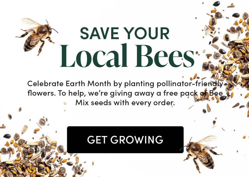 Save Your Local Bees  Celebrate Earth Month by planting pollinator-friendly flowers. To help, we’re giving away a free pack of Bee Mix seeds with every order.
