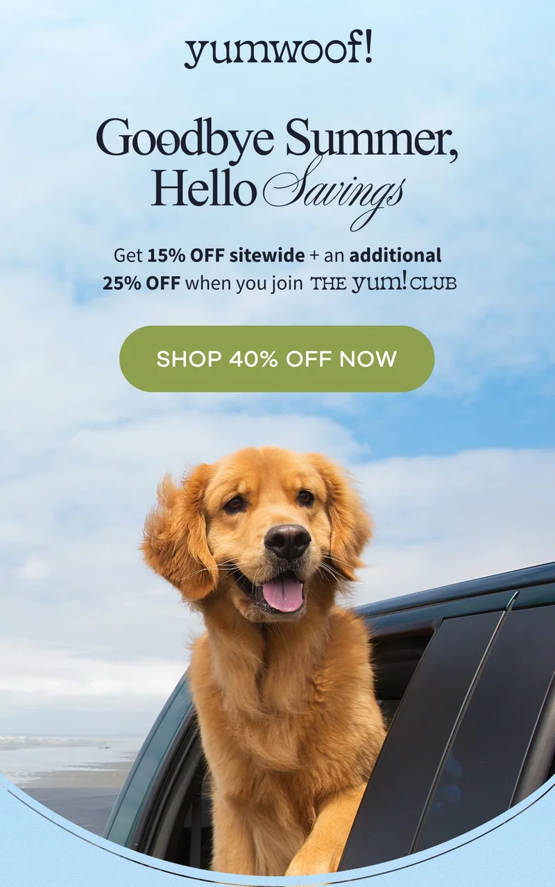 yumwoof! | Goodbye Summer, Hello Savings | Get 15% OFF sitewide + an additional 25% OFF when you join The Yum Club | SHOP 40% OFF NOW