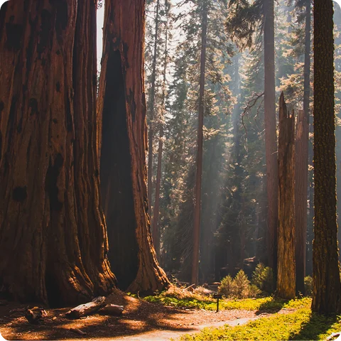 protected trails in America