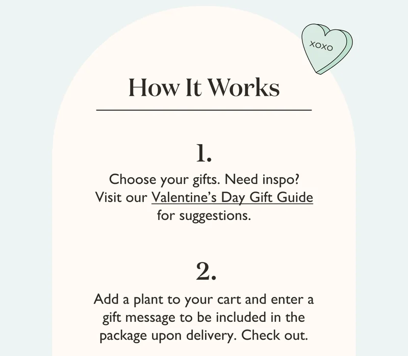First, choose your gifts. Visit our Valentine's Day Gift Guide for suggestions. Add a gift to your cart and enter a gift message to be included in the package upon delivery. Then check out.
