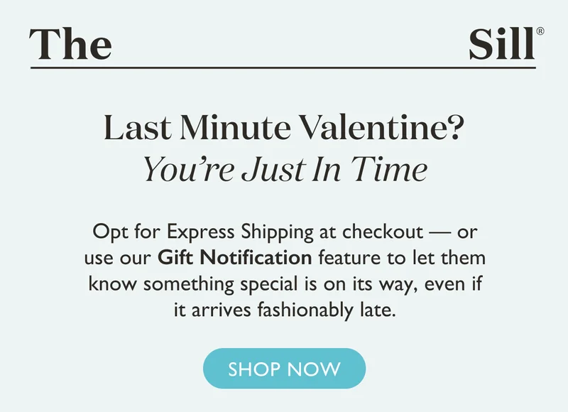 Opt for Express Shipping at checkout – or use our Gift Notification feature to let them know something special is on its way, even if it arrives fashionably late.