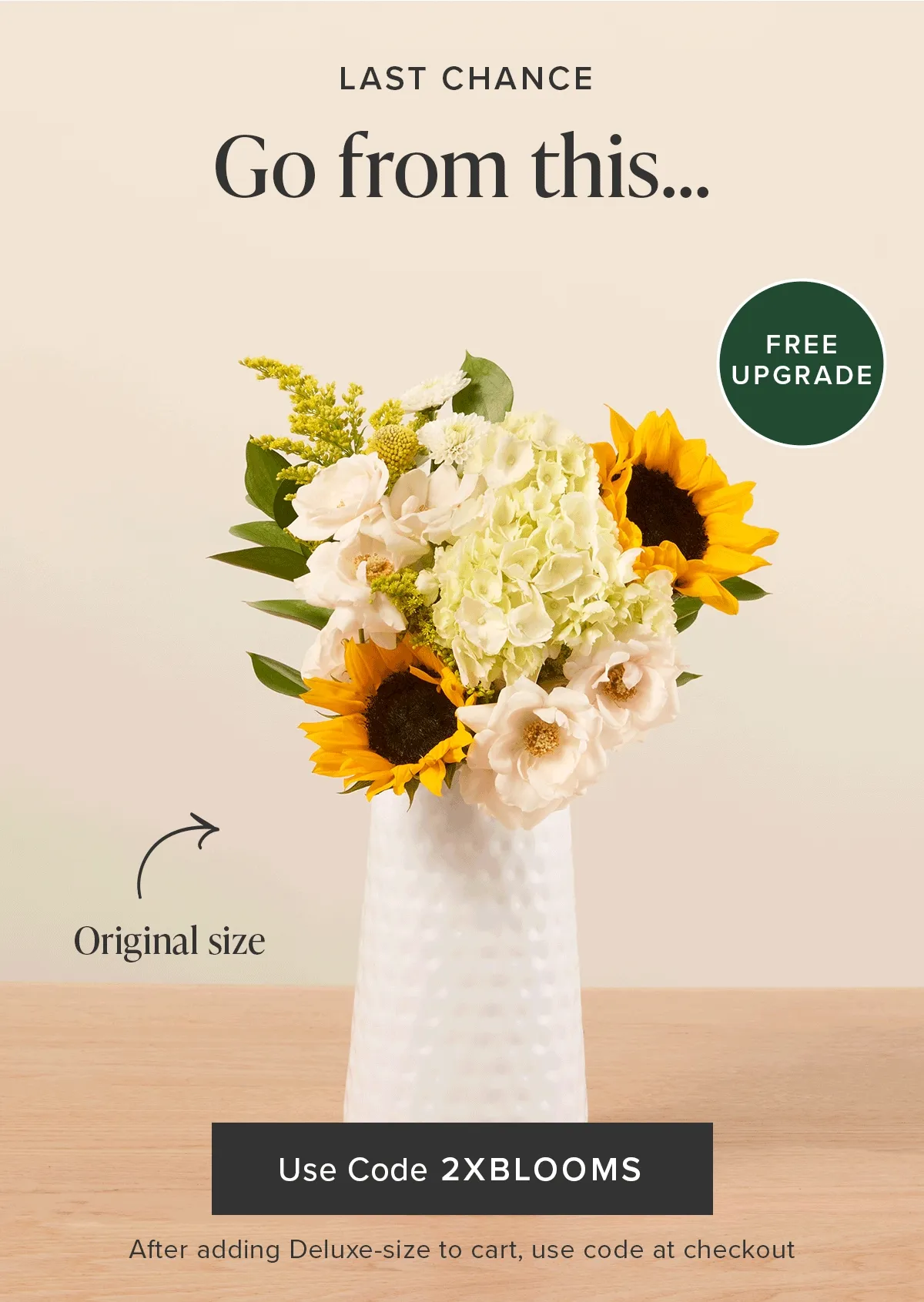 Last Chance for a Free Upgrade. Go from an original size bouq to a deluxe size bouq for FREE. Use code discount code at checkout after adding a deluxe-size bouq to your cart.