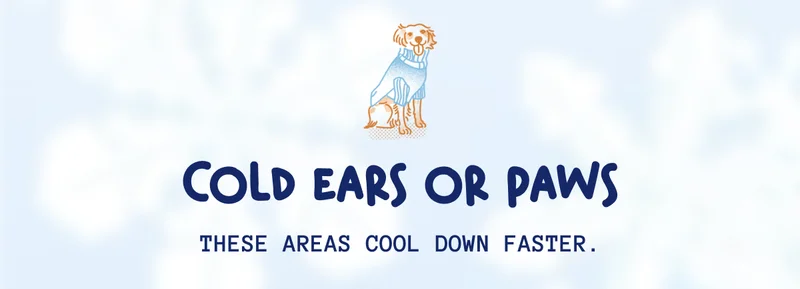 Cold ears or paws