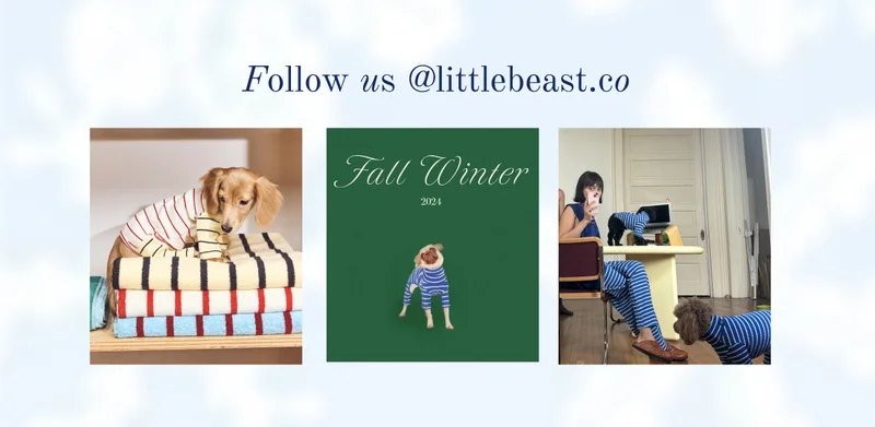 Follow us on Instagram