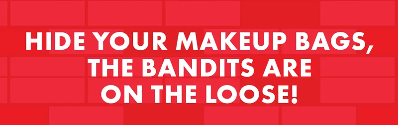 Hide Your Makeup Bags