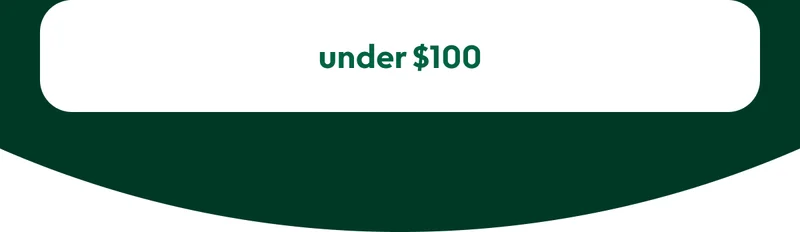 gifts-under-100