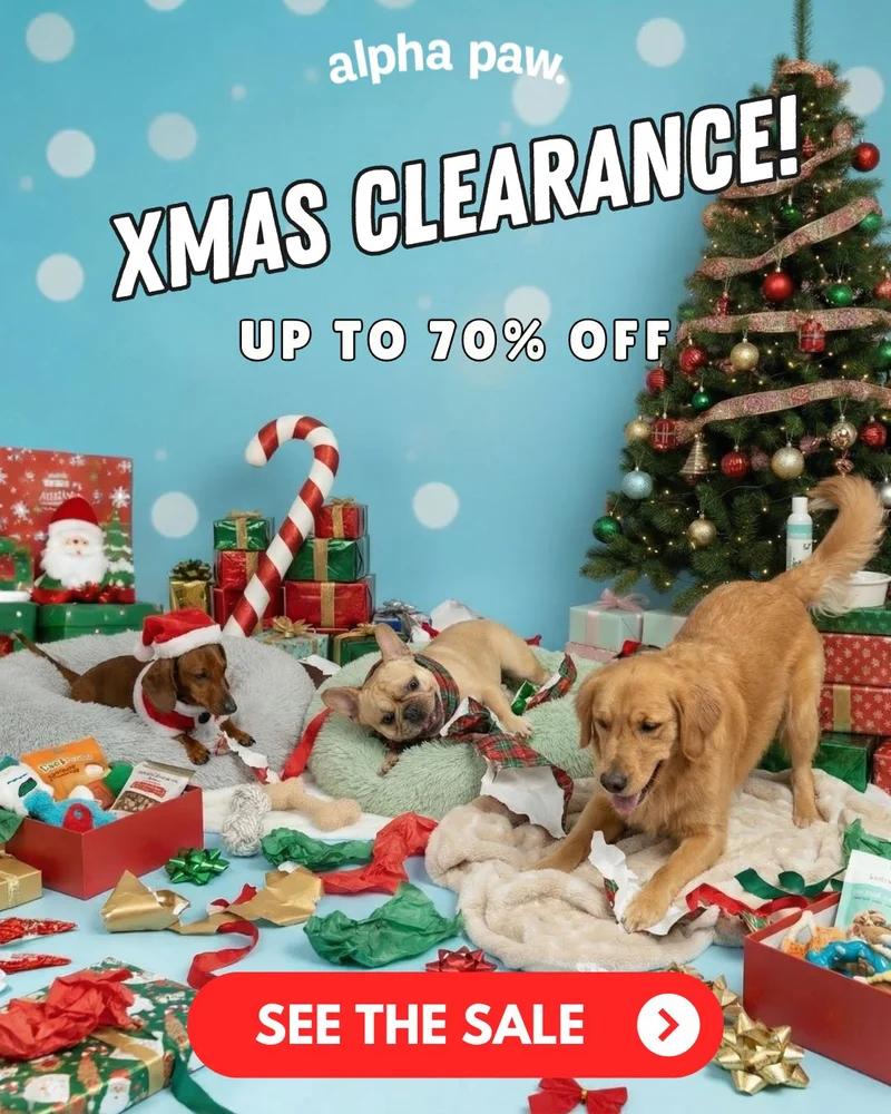 Alpha Pawlidays Alpha Pawlidays