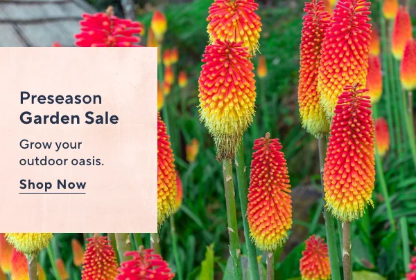 garden sale
