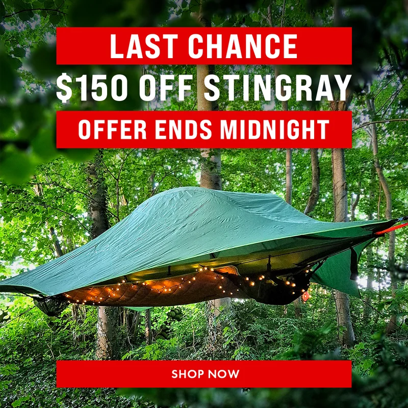 Stingray - Last Chance
