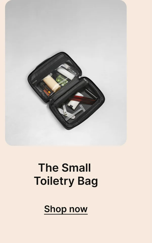 The Small Toiletry Bag