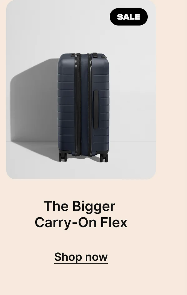 The Bigger Carry-On Flex
