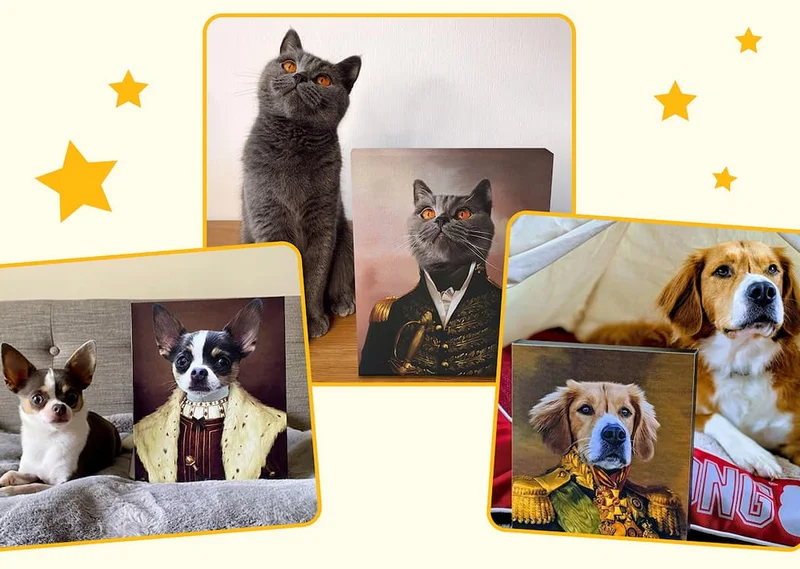 Images of pets with their Renaissance porrtraits