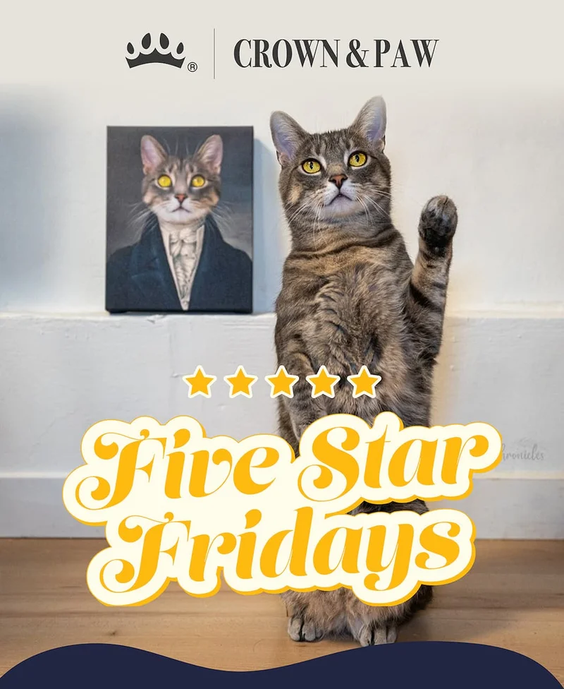 Five Star Fridays!