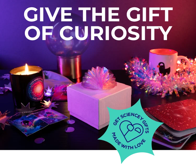 Order in Time For The Holidays!