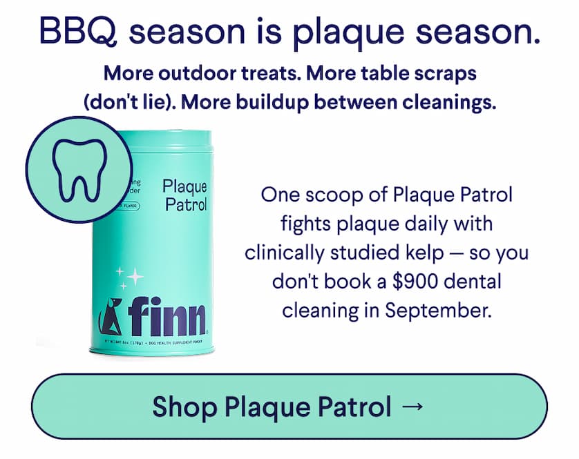 Text:BBQ season is plaque season. More outdoor treats. More table scraps (don't lie). More buildup between cleanings. One scoop of Plaque Patrol fights plaque daily with clinically studied kelp — so you don't book a $900 dental cleaning in September. CTA: Shop Plaque Patrol –>