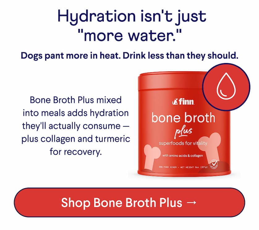 Text: &nbsp;Hydration isn't just "more water." Dogs pant more in heat. Drink less than they should. Bone Broth Plus mixed into meals adds hydration they'll actually consume — plus collagen and turmeric for recovery. CTA: Shop Bone Broth Plus →