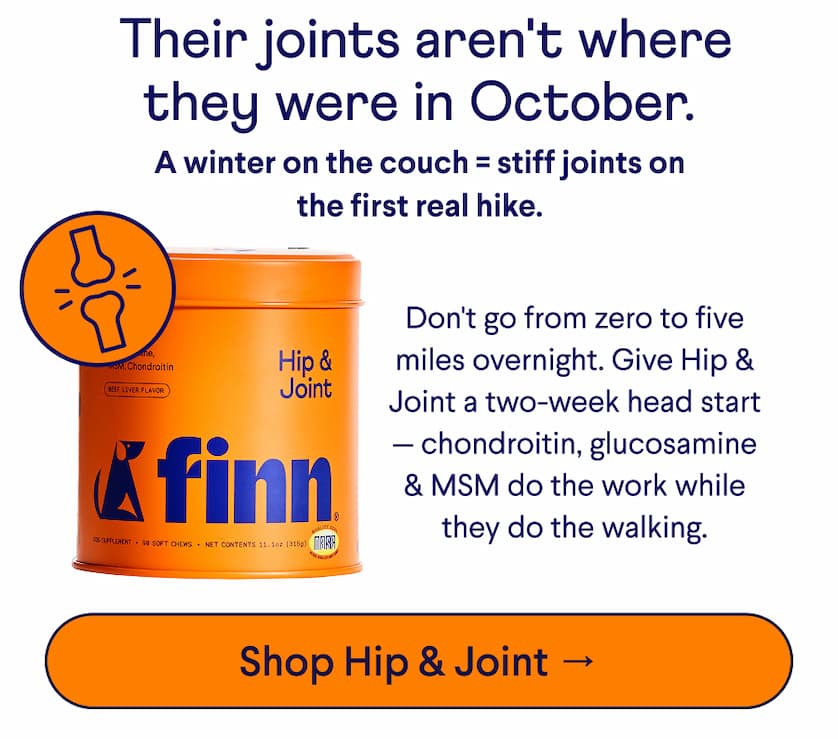 Text: &nbsp;Their joints aren't where they were in October. A winter on the couch = stiff joints on the first real hike. &nbsp; Don't go from zero to five miles overnight. Give Hip & Joint a two-week head start — chondroitin, glucosamine & MSM do the work while they do the walking. CTA: Shop Hip & Joint →